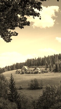 Sepia