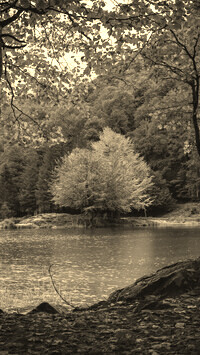 Sepia
