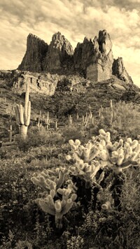 Szary + Sepia