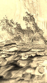 Sepia + Negatyw