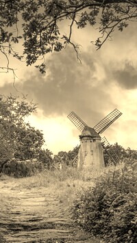 Szary + Sepia