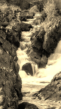 Sepia