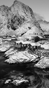 Szary