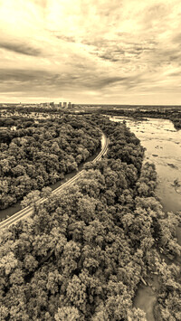 Szary + Sepia