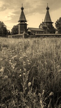Szary + Sepia