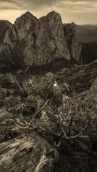 Szary + Sepia