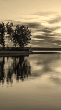 Szary + Sepia