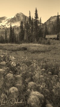 Sepia