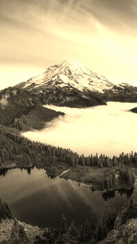 Szary + Sepia