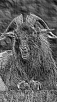 Skamielina