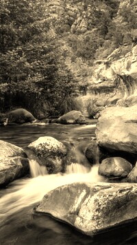 Sepia
