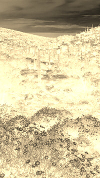 Sepia + Negatyw