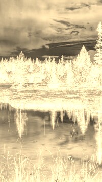 Sepia + Negatyw