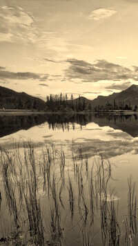 Szary + Sepia