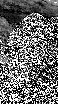 Skamielina