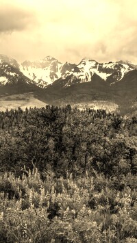 Szary + Sepia