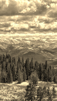 Sepia