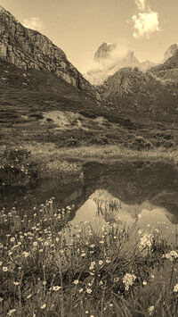 Sepia