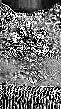 Skamielina