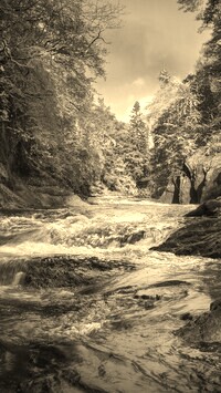 Sepia