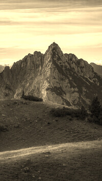 Sepia