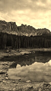 Szary + Sepia