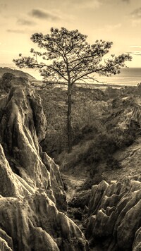 Sepia