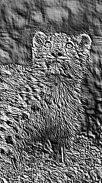 Skamielina