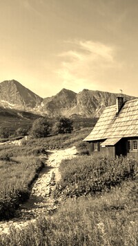 Szary + Sepia