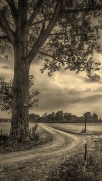Szary + Sepia