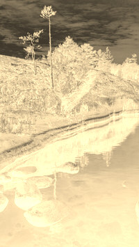 Sepia + Negatyw