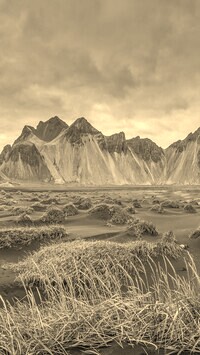 Szary + Sepia