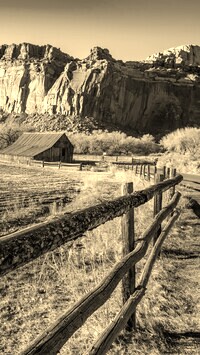 Szary + Sepia