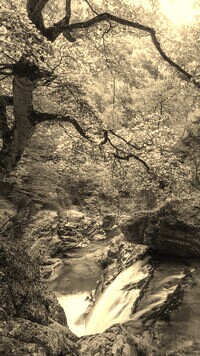 Sepia