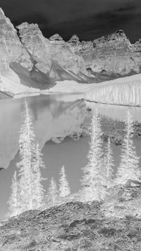 Szary + Negatyw