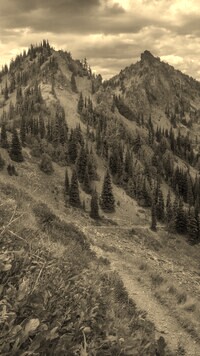 Sepia
