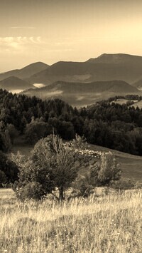 Sepia