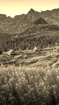 Szary + Sepia