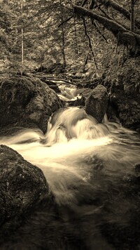Sepia