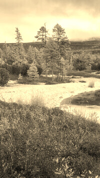 Szary + Sepia