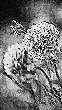Skamielina