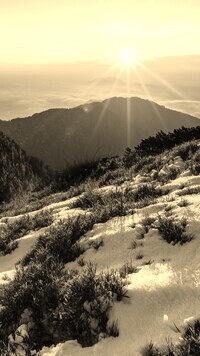 Szary + Sepia