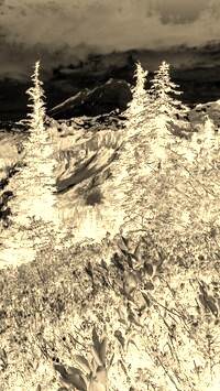Sepia + Negatyw
