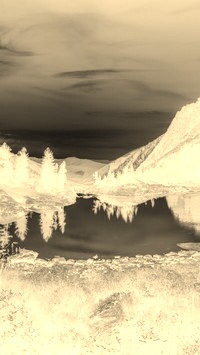 Sepia + Negatyw