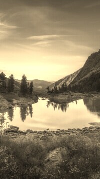 Szary + Sepia