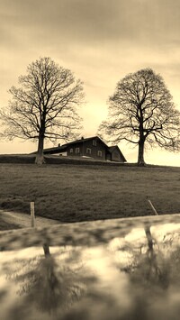Szary + Sepia