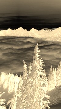Sepia + Negatyw
