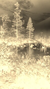 Sepia + Negatyw