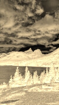 Sepia + Negatyw
