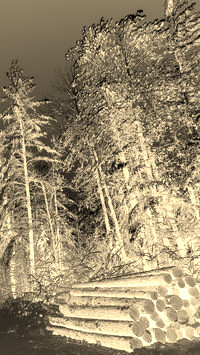 Sepia + Negatyw